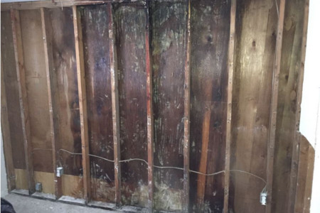 Mold mildew restoration