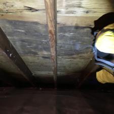 Mold Remediation Westport Connecticut 2