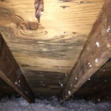 Mold Remediation Westport Connecticut 5